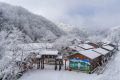 降溫要來了！1月11日—15日陜西多雨雪天氣 陜北降溫8-10 ℃縮略圖