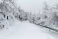 雨夾雪！小雪！小到中雪！漢中氣象發(fā)布黃色預警信號→縮略圖