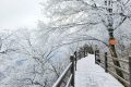 龍頭山今日又下雪啦，每一幀都是“限定浪漫”！縮略圖