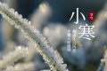 小寒節(jié)氣 | 陜西氣象最新預報氣溫今天就降！縮略圖