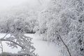 漢江源冰雪季 | 賞雪、嬉雪、看冰瀑，邂逅冬日的浪漫縮略圖