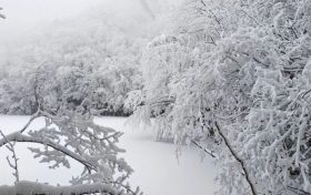 局地積雪可達(dá)10cm！冰雪路面如何安全行車？縮略圖