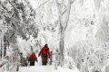 【鬧元宵·賞雪景】一起去漢江源看雪吧！縮略圖