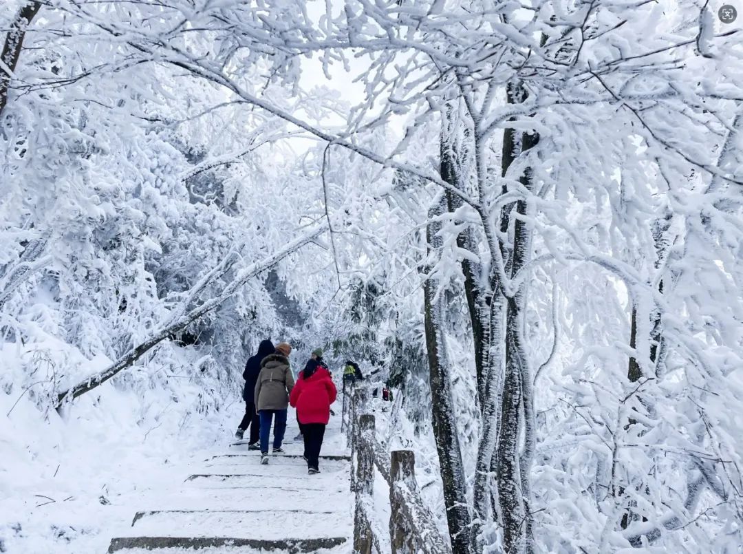 2024漢江源冰雪旅游季抖音大賽等你來挑戰(zhàn)！